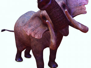 Elephant 3D MODEL Modèle 3D