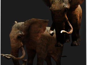 Elephant 3D MODEL Modèle 3D