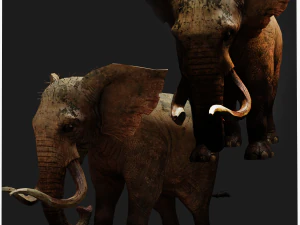 Elephant 3D MODEL 3D Model