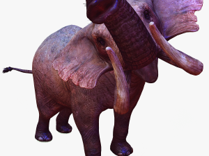 Elephant 3D MODEL Modèle 3D