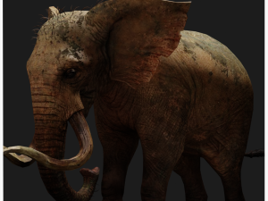 Elephant 3D MODEL Modèle 3D