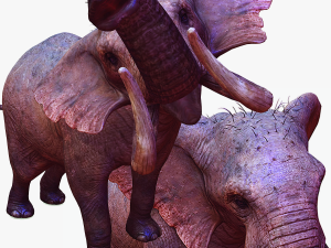 Elephant 3D MODEL Modèle 3D
