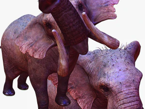 Elephant 3D MODEL 3D Model