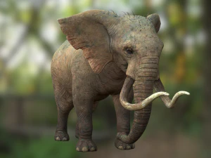 Elephant 3D MODEL 3D Model