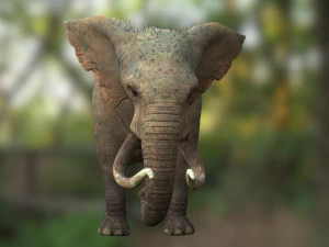 Elephant 3D MODEL 3D Model