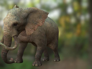 Elephant 3D MODEL 3D Model