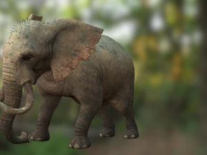 Elephant 3D MODEL 3D Model