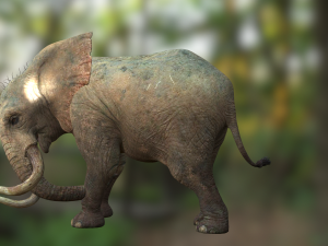 Elephant 3D MODEL Modèle 3D