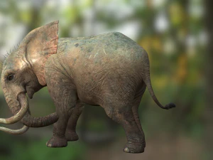 Elephant 3D MODEL 3D Model