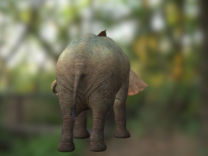Elephant 3D MODEL Modèle 3D