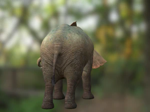 Elephant 3D MODEL 3D Model