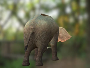 Elephant 3D MODEL 3D Model
