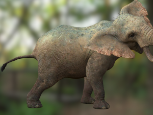 Elephant 3D MODEL Modèle 3D
