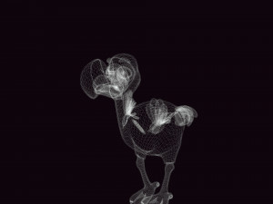 OSTRICH 3D CARTOON OSTRICH 2D ASPECT 3D Model