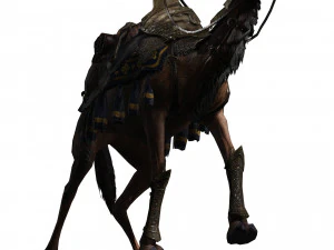 Camel - Desert - CAMEL ANIMATED 3D Model
