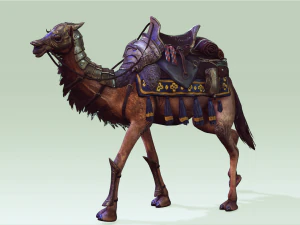 Camel - Desert - CAMEL ANIMATED 3D Model