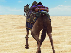 Camel - Desert - CAMEL ANIMATED 3D Model