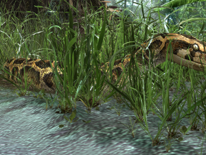 PYTHON SNAKE ANIMATED - SNAKE PYTHON REPTILE 3D Model