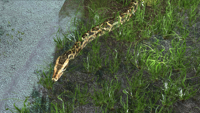 PYTHON SNAKE ANIMATED - SNAKE PYTHON REPTILE 3D Model in Reptile 3DExport