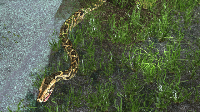 PYTHON SNAKE ANIMATED - SNAKE PYTHON REPTILE 3D Model in Reptile 3DExport