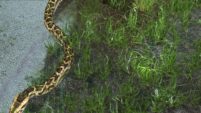 PYTHON SNAKE ANIMATED - SNAKE PYTHON REPTILE 3D Model in Reptile 3DExport