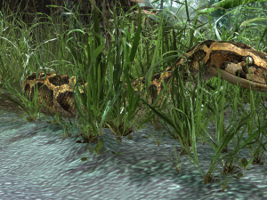 PYTHON SNAKE ANIMATED - SNAKE PYTHON REPTILE 3D Model