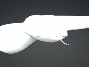 PYTHON SNAKE ANIMATED - SNAKE PYTHON REPTILE 3D Model