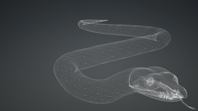 PYTHON SNAKE ANIMATED - SNAKE PYTHON REPTILE 3D Model in Reptile 3DExport