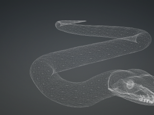 PYTHON SNAKE ANIMATED - SNAKE PYTHON REPTILE 3D Model
