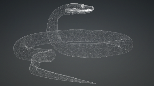 PYTHON SNAKE ANIMATED - SNAKE PYTHON REPTILE 3D Model in Reptile 3DExport