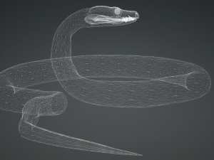 PYTHON SNAKE ANIMATED - SNAKE PYTHON REPTILE 3D Model
