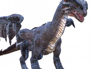 DRAGON FLYING DRAGON 3D MODEL 3D Model