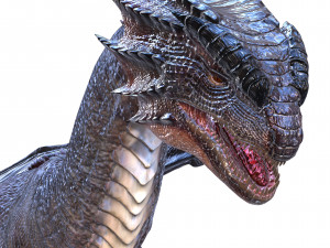 DRAGON FLYING DRAGON 3D MODEL Modelo 3D