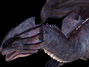 DRAGON FLYING DRAGON 3D MODEL 3D Model