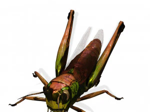 DOWNLOAD GRASSHOPPER 3D MODEL - ANIMATED - INSECT - RAPTOR LINHERAPTOR MICRO BEE FLYING - POKMON 3D Model