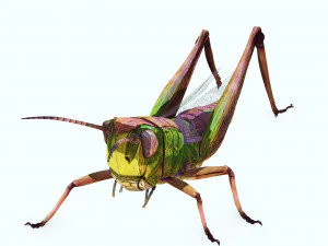 DOWNLOAD GRASSHOPPER 3D MODEL - ANIMATED - INSECT - RAPTOR LINHERAPTOR MICRO BEE FLYING - POKMON 3D Model