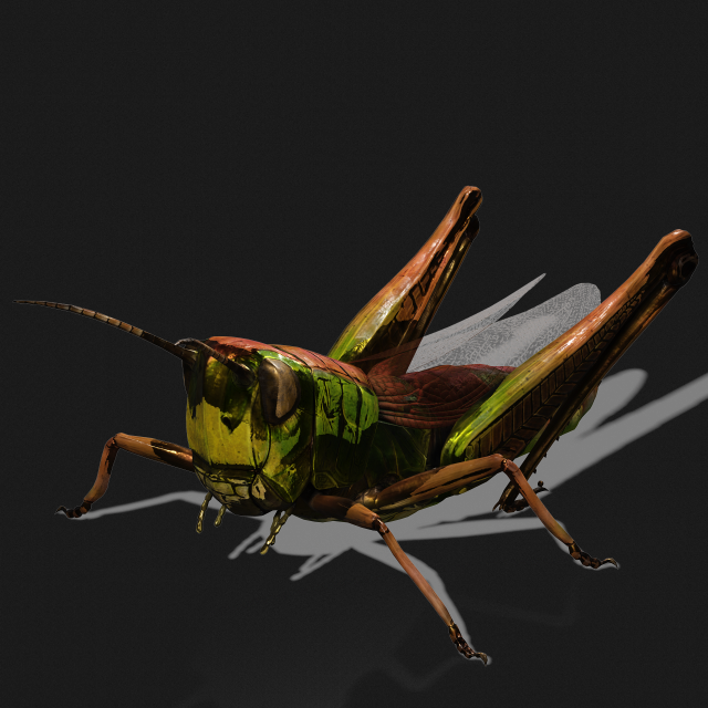DOWNLOAD GRASSHOPPER 3D MODEL - ANIMATED - INSECT - RAPTOR LINHERAPTOR  MICRO BEE FLYING - POKMON 3D Model in Insects 3DExport