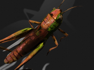 DOWNLOAD GRASSHOPPER 3D MODEL - ANIMATED - INSECT - RAPTOR LINHERAPTOR MICRO BEE FLYING - POKMON Modelo 3D