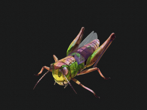 DOWNLOAD GRASSHOPPER 3D MODEL - ANIMATED - INSECT - RAPTOR LINHERAPTOR MICRO BEE FLYING - POKMON Modelo 3D