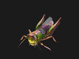 DOWNLOAD GRASSHOPPER 3D MODEL - ANIMATED - INSECT - RAPTOR LINHERAPTOR MICRO BEE FLYING - POKMON 3D Model