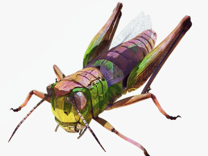 DOWNLOAD GRASSHOPPER 3D MODEL - ANIMATED - INSECT - RAPTOR LINHERAPTOR MICRO BEE FLYING - POKMON Modelo 3D