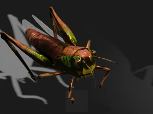 DOWNLOAD GRASSHOPPER 3D MODEL - ANIMATED - INSECT - RAPTOR LINHERAPTOR MICRO BEE FLYING - POKMON 3D Model