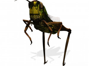 DOWNLOAD GRASSHOPPER 3D MODEL - ANIMATED - INSECT - RAPTOR LINHERAPTOR MICRO BEE FLYING - POKMON Modelo 3D
