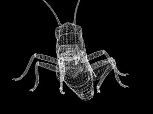 DOWNLOAD GRASSHOPPER 3D MODEL - ANIMATED - INSECT - RAPTOR LINHERAPTOR MICRO BEE FLYING - POKMON 3D Model