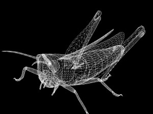 DOWNLOAD GRASSHOPPER 3D MODEL - ANIMATED - INSECT - RAPTOR LINHERAPTOR MICRO BEE FLYING - POKMON Modelo 3D