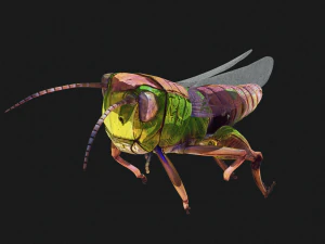 DOWNLOAD GRASSHOPPER 3D MODEL - ANIMATED - INSECT - RAPTOR LINHERAPTOR MICRO BEE FLYING - POKMON 3D Model