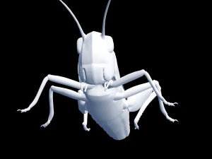 DOWNLOAD GRASSHOPPER 3D MODEL - ANIMATED - INSECT - RAPTOR LINHERAPTOR MICRO BEE FLYING - POKMON 3D Model