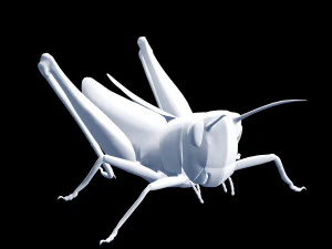 DOWNLOAD GRASSHOPPER 3D MODEL - ANIMATED - INSECT - RAPTOR LINHERAPTOR MICRO BEE FLYING - POKMON 3D Model