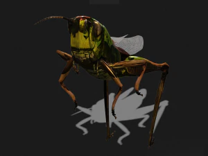 DOWNLOAD GRASSHOPPER 3D MODEL - ANIMATED - INSECT - RAPTOR LINHERAPTOR MICRO BEE FLYING - POKMON 3D Model