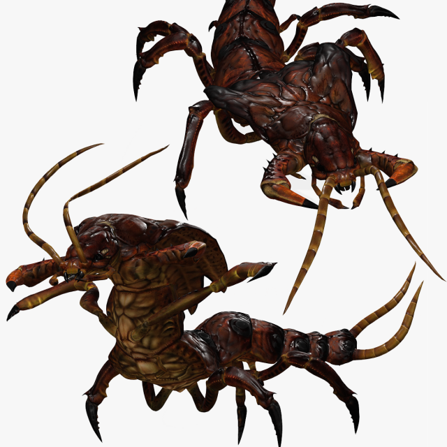 CENTIPEDE INSECT CENTIPEDE - DOWNLOAD CENTIPEDE 3D MODEL ANIMATED - FOR 3DS MAX - BLENDER 3 FILE - 3D मॉडल .c4d .max .obj .3ds .fbx .stl .blend 